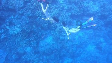 hahabet前往星辰大海